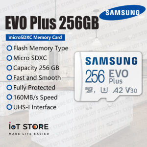 Samsung EVO Plus + Adapter microSDXC 256GB